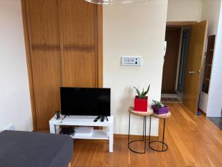 Apartamento céntrico en Vigo - Vigo - 3
