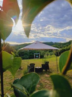 Sunny Side Fruska Gora - Velika Remeta - 4