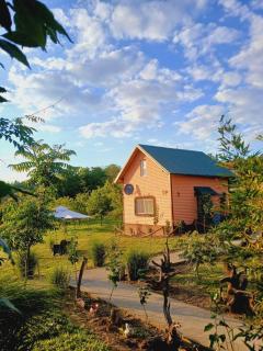 Sunčana Strana Fruške Gore - veliko imanje sa kucom za odmor - 4