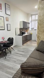 Iron apartmán - Karlovy Vary - 9