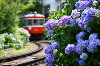 Hakone -Togenkyo- 036h - 6