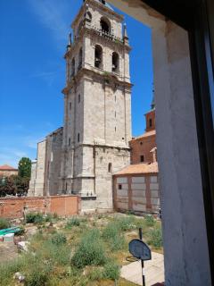La Casona del Asno - Alcalá de Henares - 4