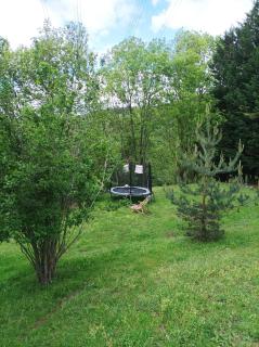 Maison familiale campagne piscine forêt - 6