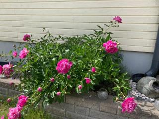 Huoneisto ulkoporealtaalla ja saunalla - 8