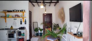 Diani Beach Studio - Mombaça - 4