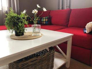 Cozy holiday apartment in the heart of Vrådal! - Vradal - 0