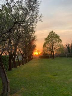 The Alice Nest - Peschiera del Garda - 7