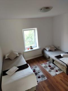 Aurora apartman - Vrdnik - 1