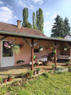 Aurora apartman - Vrdnik - 0