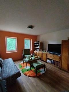Aurora apartman - Vrdnik - 2