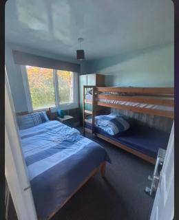 12 the glade - Kilkhampton - 6