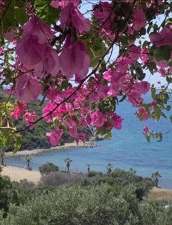 Sevinc Papatya House - 9