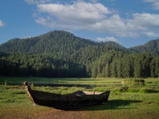 The Hosteller Khajjiar - Khajjiar - 2
