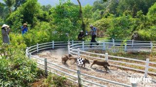 DUGONG BAY hàm ninh phú quốc - Phú Quốc - 6