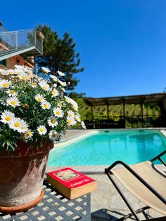 Cascina Galarin - Castagnole Lanze - 8