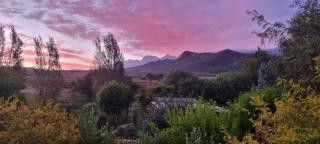 Le Petit Paradis - Robertson - 9