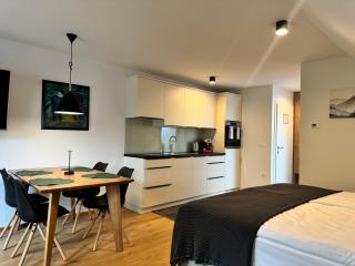 Apartmaji Kotnik - 3