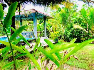 Jungle Coconut View - Talpe - 0