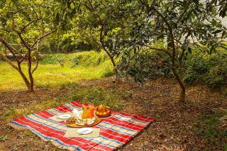 Rainbow Cottage 3BR Villa Nainital hills Cook - Bhimtal - 7