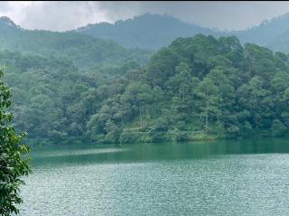 Rainbow Cottage 3BR Villa Nainital hills Cook - Bhimtal - 5