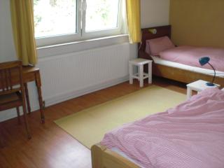 Gästehaus Henke - Freiburg im Breisgau - 8