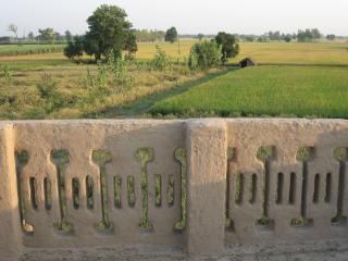 Punjab Village Farm near Amritsar - Gurdāspur - 9