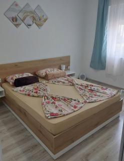 Apartman Bogdan Milenkovic - Soko Banja - 2