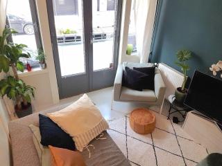 Lovely Central Apartment - Oslo - 3