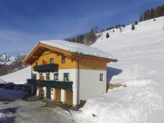 Modern Holiday Home in Maria Alm near Ski Area - Maria Alm am Steinernen Meer - 8