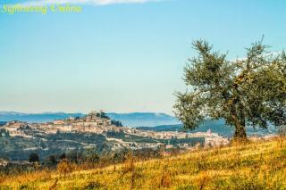 Casa Vecchia, house with private pool and air conditioning - Toscolano - 3