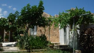 Masseria Uccio - Tricase - 9