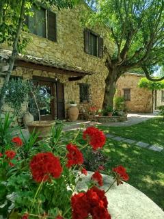 All'Ombra di San Damiano - Asís - 0
