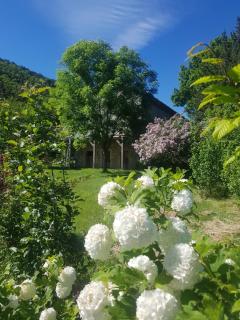 Les Gîtes du Saro - 2