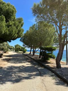 Terra Oliva Mandre - Mandre - 1