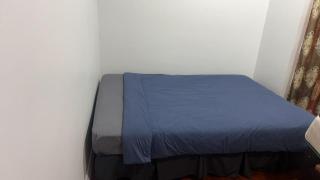 3 Bedroom House, 12 Phyllis St, Mt Albert, Auckland - Auckland - 6