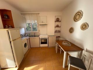 Plastiras Sea View Apartments - 1