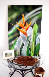 Résidence Fleur de Café - Villa 2 - La Désirade - Deshaies - 1