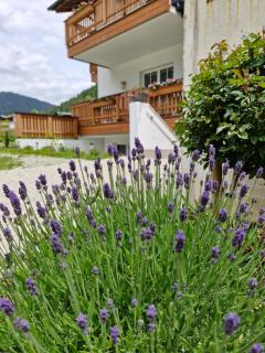Feine Bleibe - Eben im Pongau - 8