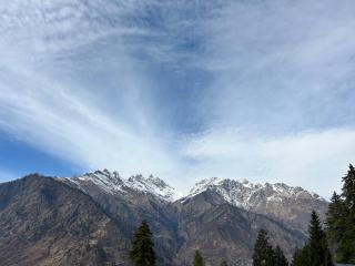 Golden Luck MANN CAFE - 5