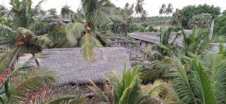 Araliya inn - Nikawatawana - 5