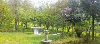 Quinta do Tojos - Bicas - 3