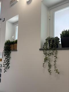 Cortiletto Pavone A - 2