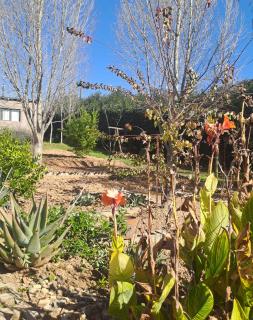 Lee's Place - Maseru - 1