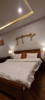 Silk Route Resort - Gulmit - 0