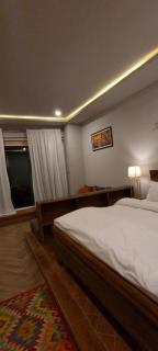 Silk Route Resort - Gulmit - 2