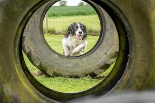 Morton of Pitmilly Countryside Resort - 3