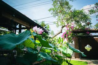 Aki Eco-villa Hội An - An Bang - 6