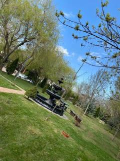 Complex Trans Bitum - 1