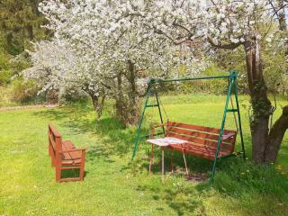 Die Malche Gäste und Tagungshaus 17 - 1