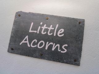 Little Acorns - 7